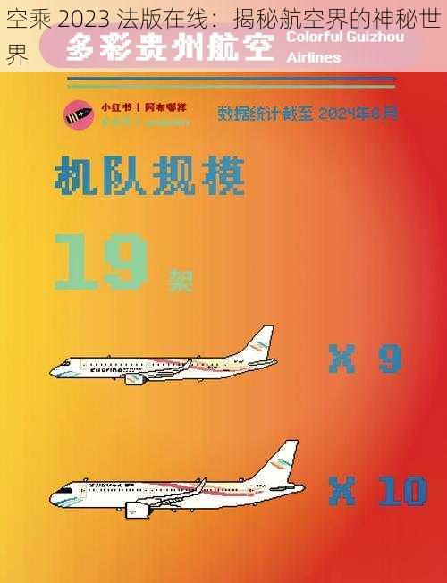 空乘 2023 法版在线：揭秘航空界的神秘世界