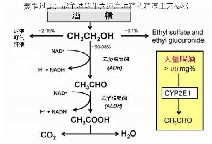 蒸馏过滤：战争酒转化为纯净酒精的精湛工艺揭秘