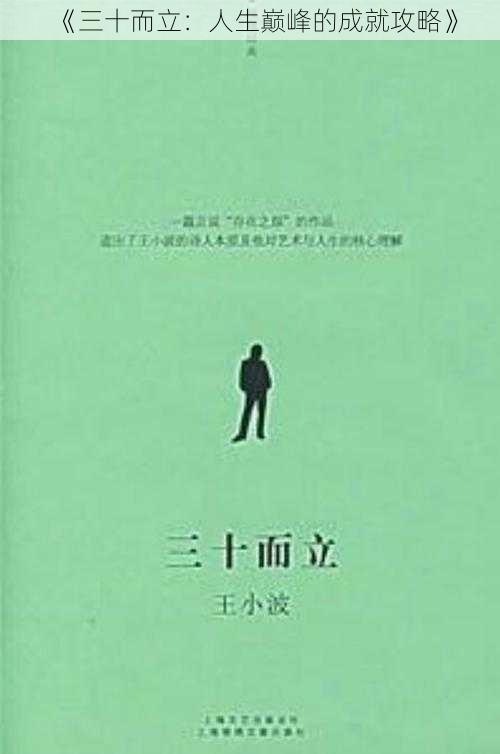 《三十而立：人生巅峰的成就攻略》