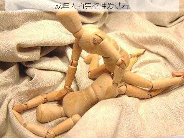 成年人的完整性爱试看