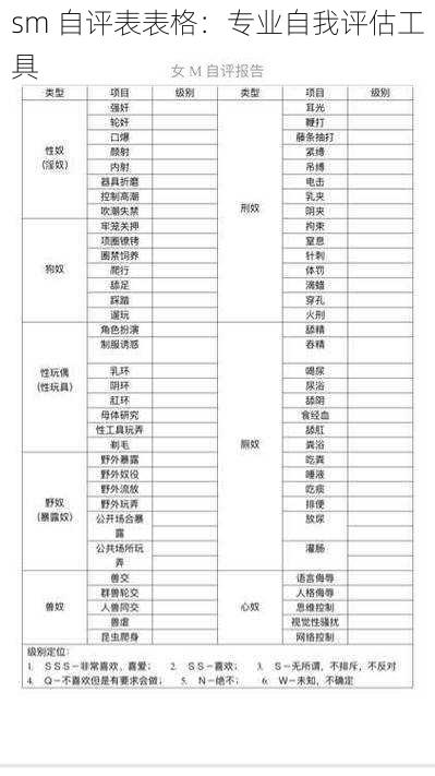 sm 自评表表格：专业自我评估工具