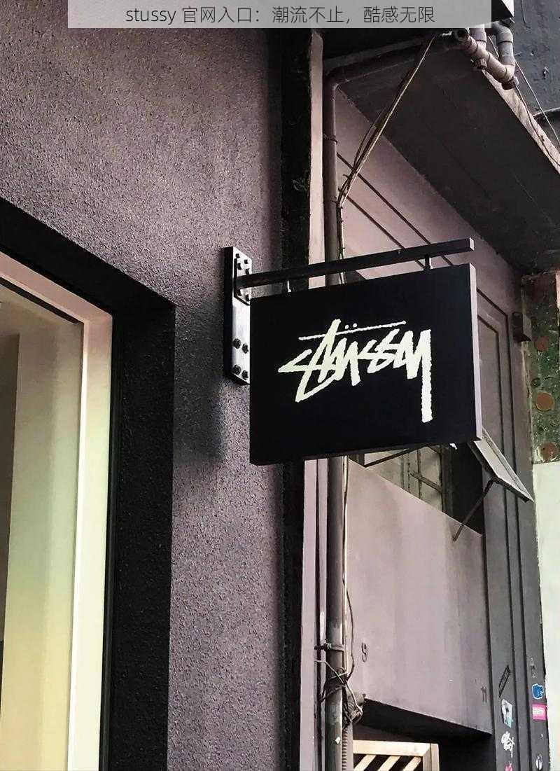 stussy 官网入口：潮流不止，酷感无限