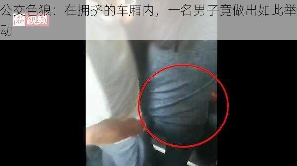 公交色狼：在拥挤的车厢内，一名男子竟做出如此举动