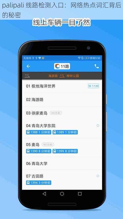 palipali 线路检测入口：网络热点词汇背后的秘密