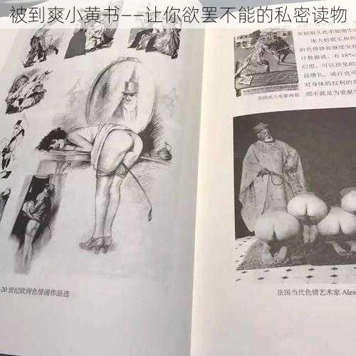 被到爽小黄书——让你欲罢不能的私密读物