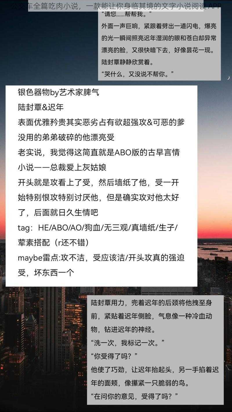 公交车全篇吃肉小说，一款能让你身临其境的文字小说阅读 APP