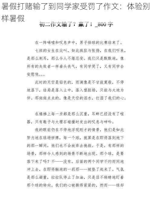 暑假打赌输了到同学家受罚了作文：体验别样暑假