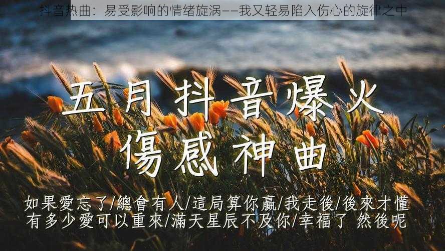 抖音热曲：易受影响的情绪旋涡——我又轻易陷入伤心的旋律之中