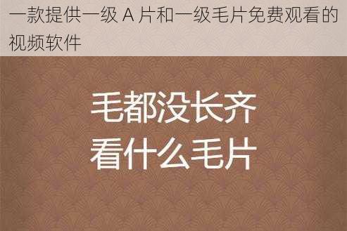 一款提供一级 A 片和一级毛片免费观看的视频软件