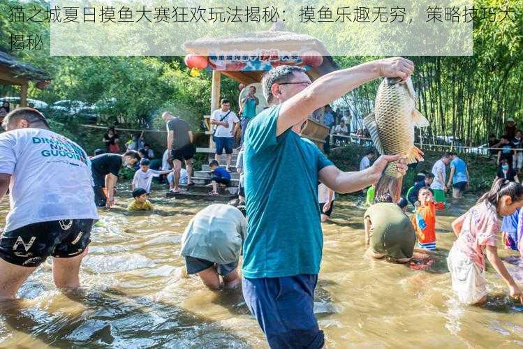 猫之城夏日摸鱼大赛狂欢玩法揭秘：摸鱼乐趣无穷，策略技巧大揭秘