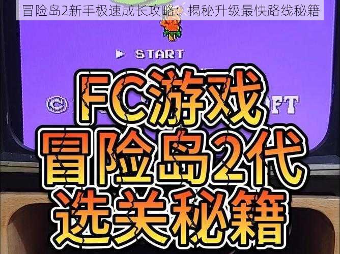 冒险岛2新手极速成长攻略：揭秘升级最快路线秘籍