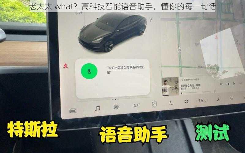 老太太 what？高科技智能语音助手，懂你的每一句话