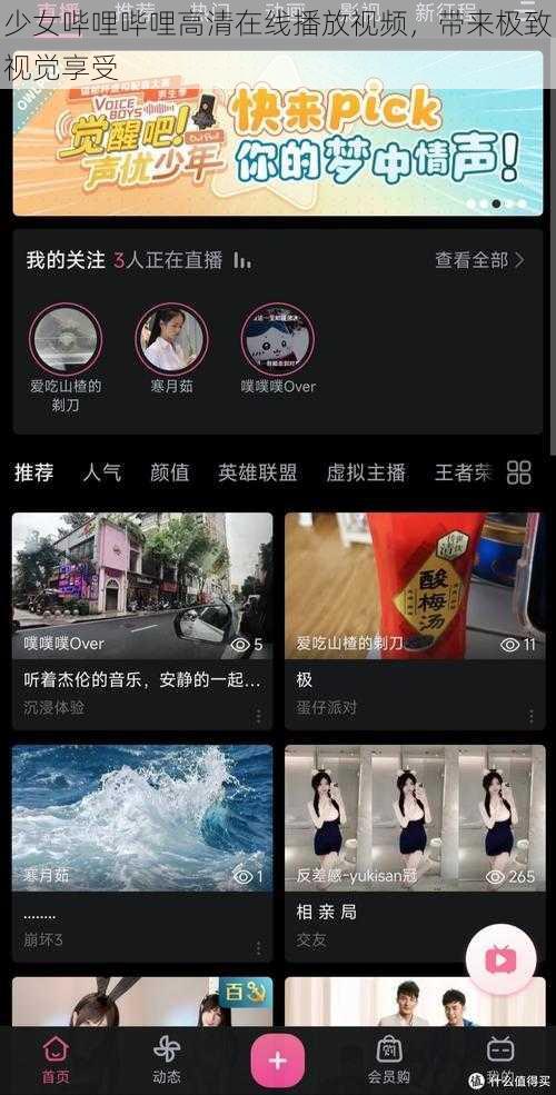 少女哔哩哔哩高清在线播放视频，带来极致视觉享受