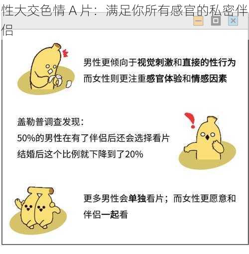 性大交色情 A 片：满足你所有感官的私密伴侣