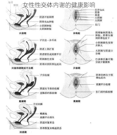 女性性交体内谢的健康影响