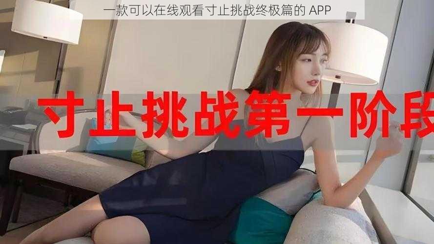 一款可以在线观看寸止挑战终极篇的 APP