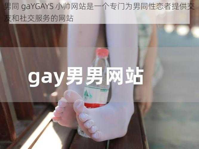 男同 gaYGAYS 小帅网站是一个专门为男同性恋者提供交友和社交服务的网站