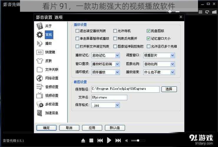 看片 91，一款功能强大的视频播放软件