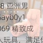 18 亚洲男 Gayb0y1O69 精致成人玩具，满足你的私密需求