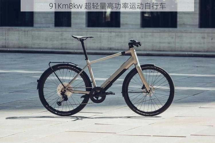 91Km8kw 超轻量高功率运动自行车