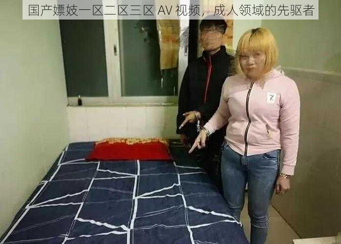 国产嫖妓一区二区三区 AV 视频，成人领域的先驱者