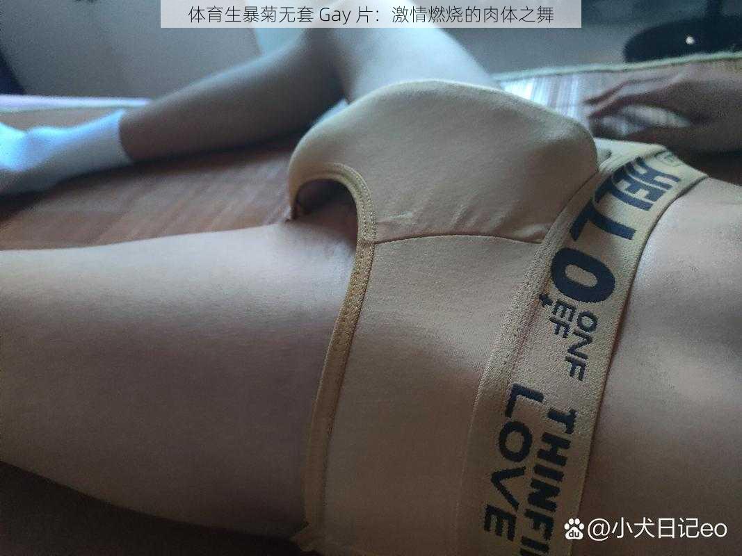 体育生暴菊无套 Gay 片：激情燃烧的肉体之舞