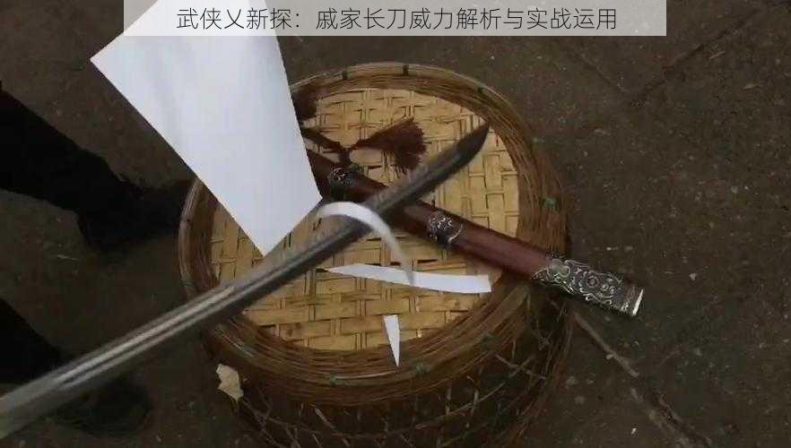 武侠乂新探：戚家长刀威力解析与实战运用