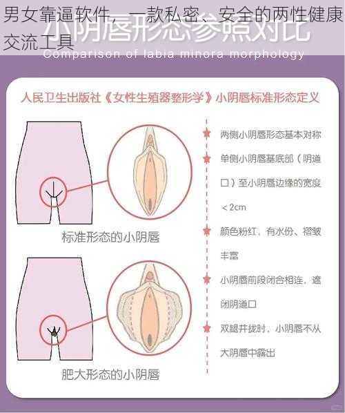 男女靠逼软件，一款私密、安全的两性健康交流工具