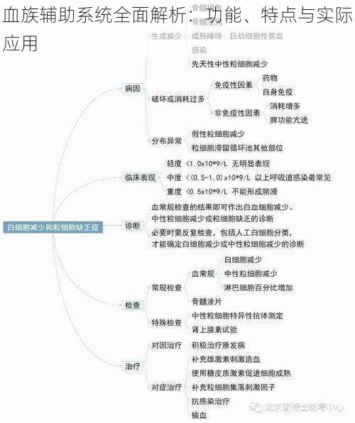 血族辅助系统全面解析：功能、特点与实际应用