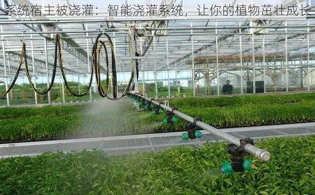 系统宿主被浇灌：智能浇灌系统，让你的植物茁壮成长