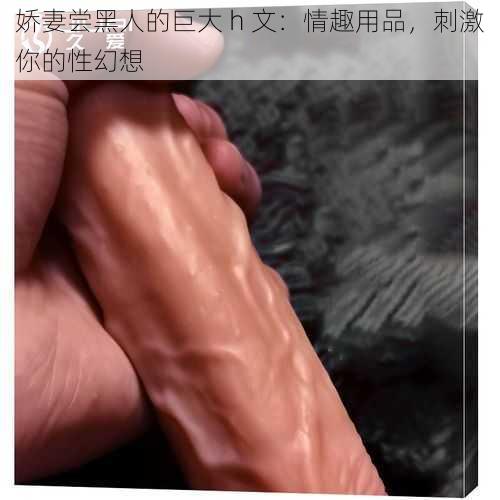 娇妻尝黑人的巨大 h 文：情趣用品，刺激你的性幻想