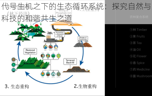 代号生机之下的生态循环系统：探究自然与科技的和谐共生之道