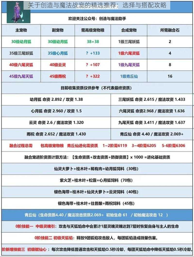 关于创造与魔法战宠的精选推荐：选择与搭配攻略