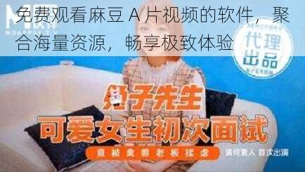 免费观看麻豆 A 片视频的软件，聚合海量资源，畅享极致体验