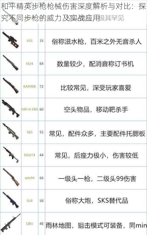 和平精英步枪枪械伤害深度解析与对比：探究不同步枪的威力及实战应用