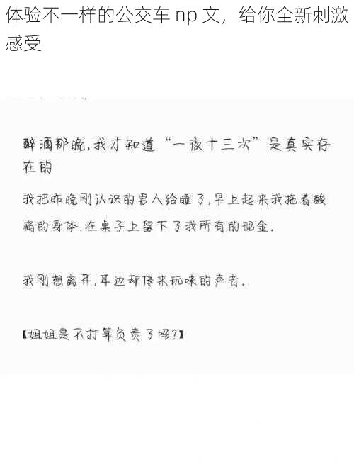 体验不一样的公交车 np 文，给你全新刺激感受