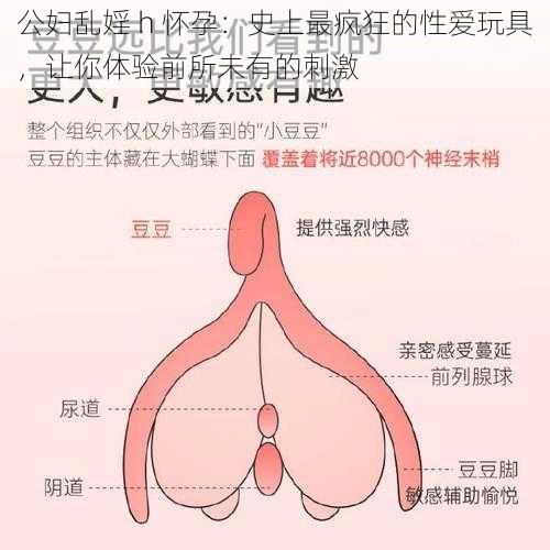 公妇乱婬 h 怀孕：史上最疯狂的性爱玩具，让你体验前所未有的刺激