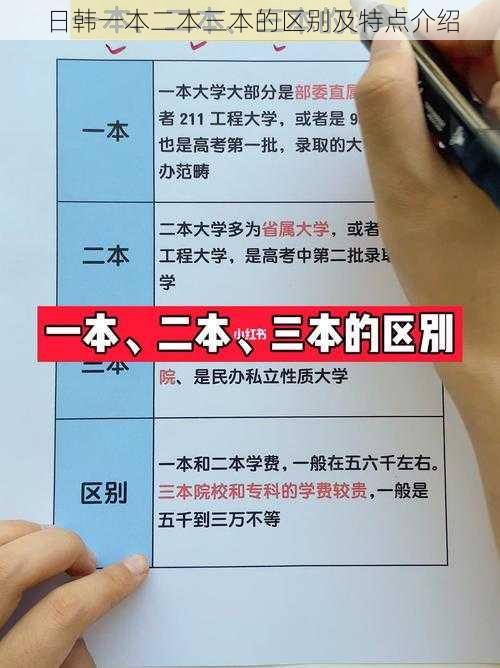 日韩一本二本三本的区别及特点介绍