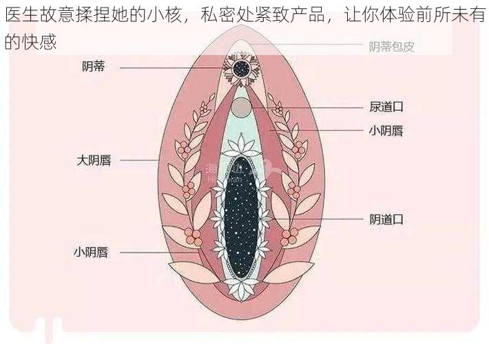 医生故意揉捏她的小核，私密处紧致产品，让你体验前所未有的快感