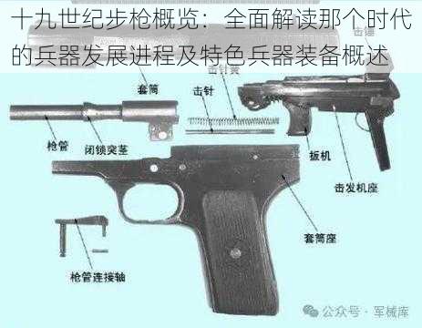 十九世纪步枪概览：全面解读那个时代的兵器发展进程及特色兵器装备概述