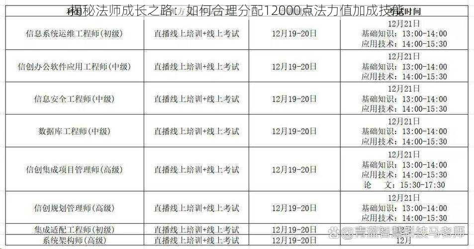 揭秘法师成长之路：如何合理分配12000点法力值加成技能