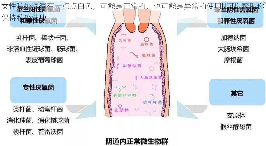 女性私处洞洞有一点点白色，可能是正常的，也可能是异常的使用[]可以帮助你保持私处健康