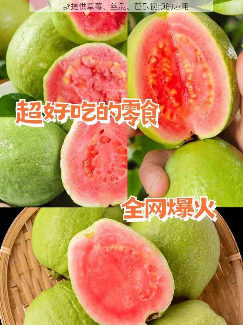 一款提供草莓、丝瓜、芭乐视频的应用