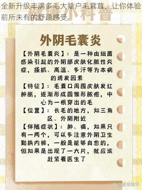 全新升级丰满多毛大陰户毛茸茸，让你体验前所未有的舒适感受