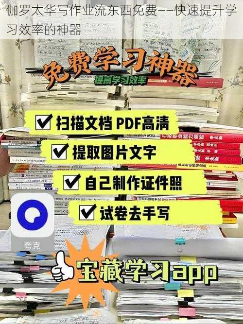 伽罗太华写作业流东西免费——快速提升学习效率的神器