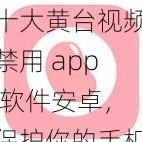 十大黄台视频禁用 app 软件安卓，保护你的手机安全