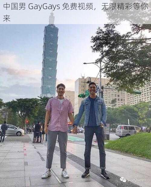 中国男 GayGays 免费视频，无限精彩等你来