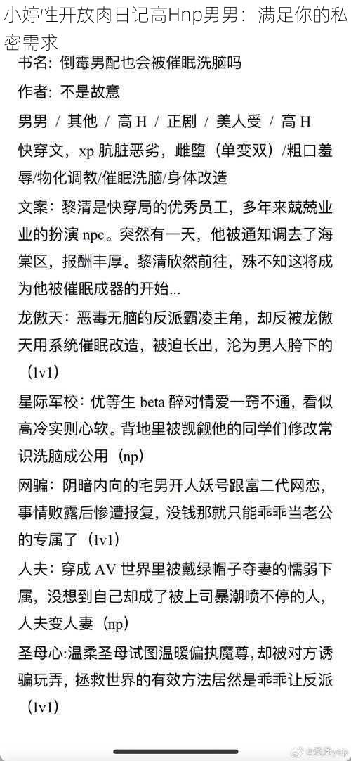 小婷性开放肉日记高Hnp男男：满足你的私密需求