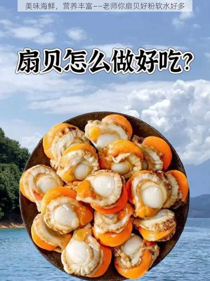 美味海鲜，营养丰富——老师你扇贝好粉软水好多