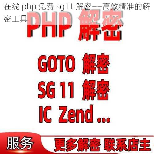 在线 php 免费 sg11 解密——高效精准的解密工具